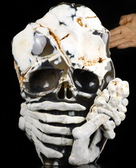 Origianl 11.5" Orca agate Carved Crystal Skull, Crystal Healing