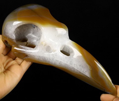8.9" Agate Carved Crystal Raven Skull, Crystal Healing