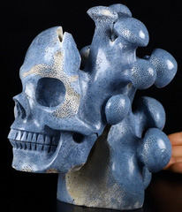 6.7" Blue Sponge Coral Carved Crystal Skull & Mushroom, Crystal Healing