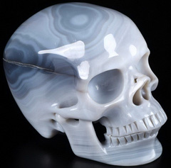GEODE Huge 5.1" Gray & White Agate Carved Crystal Skull,Super Realistic, Crystal Healing