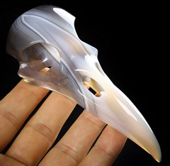 4.8" Premium Brazilian Agate Carved Crystal Raven Skull with Led Stand, Crystal Healing