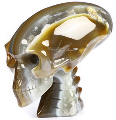 3.6" Premium Brazilian Agate Carved Crystal Elongated Mayan Alien Skull & Spine, Crystal Healing