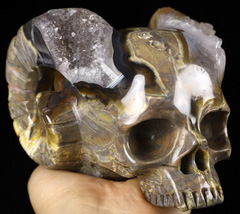4.6" Dinosaur Egg Agate Geode Carved Crystal Horned Skull, Crystal Healing