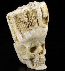 3.7" Coral Fossil Carved Crystal Skull, Crystal Healing