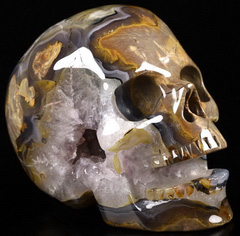 5.1" Dinosaur Egg Agate Carved Crystal Singing Skull, Crystal Healing
