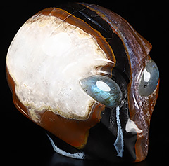 4.1" Black Zebra Agate Crystal Skull Companion with Labradorite Eyes， Star Being Female Alien, Labradorite Eyes