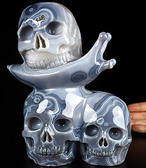 8.1" Gray & White Agate Carved Crystal Skull & Snail, Crystal Healing