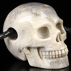 2.0" Coral Fossil Carved Crystal Skull Pendant, Crystal Healing