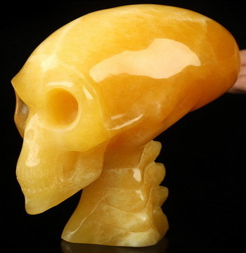 6.3" Beeswax Jade Hand Carved Crystal Elongated Mayan Alien Skull with Spine Sculpture, Crystal Healing