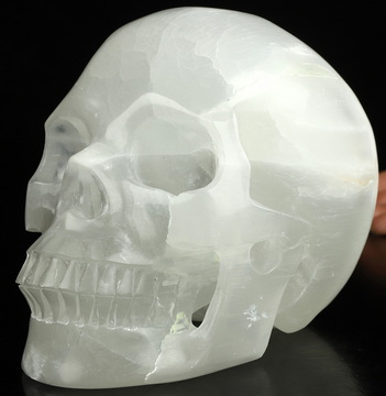 Lifesized 6.1" Selenite Hand Carved Crystal Skull, Realistic, Crystal Healing