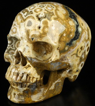5.1" Ocean Jasper Hand Carved Crystal Skull, Super Realistic, Crystal Healing