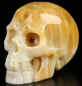 2.0" Coral Fossil Hand Carved Crystal Skull, Realistic, Crystal Healing