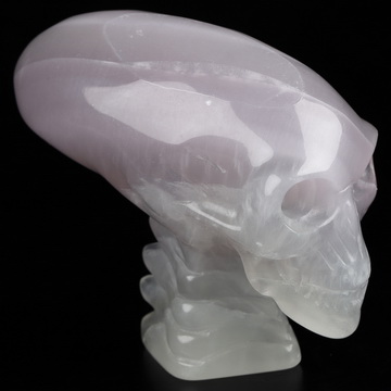 3.6" Fluorite Hand Carved Crystal Elongated Mayan Alien Skull with Spine Sculpture, Crystal Healing