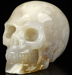 2.0" Coral Fossil Carved Crystal Skull,Realistic, Crystal Healing