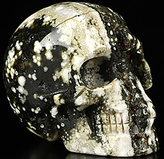 GEMSTONE 2.0" Ocean Jasper Carved Crystal Skull,Realistic, Crystal Healing