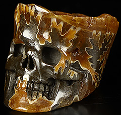 GEODE GEMSTONE 1.7" Ammonite Fossil Carved Crystal Skull, Crystal Healing