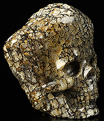 GEMSTONE 1.6" Dinosaur Sauropoda Bone Fossil Carved Crystal Skull, Crystal Healing