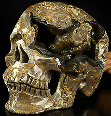 Lifesized 8.0" Dinosaur Egg Agate Geode Carved Crystal skull,Super Realistic, Crystal Healing