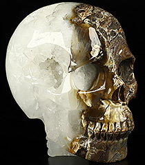 GEODE Huge 4.7" Dinosaur Egg Agate Carved Crystal Skull, Crystal Healing