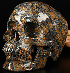 Lifesized 6.9" Tan Brown Granite Stone Carved Crystal Skull,Realistic, Crystal Healing