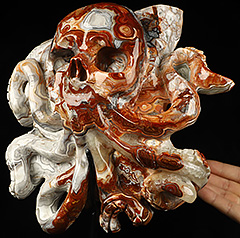 8.1" Red Crazy Lace Agate Carved Crystal Octopus Skull with Stand, Crystal Healing