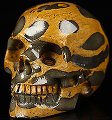1.1" Petrified Coral Fossil Carved Crystal Skull,Realistic, Crystal Healing