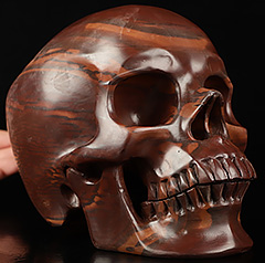 Lifesized 6.9" Australian Print Stone Carved Crystal Skull,Super Realistic, Crystal Healing