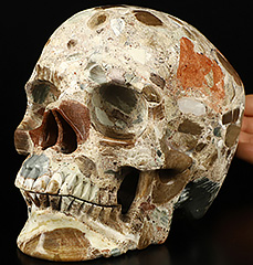 Lifesized 6.9" Australian Chert Brecciated Carved Crystal Skull,Super Realistic, Crystal Healing