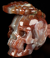 5.5" Mozambique Agate Carved Crystal Skull & Hand Bone Sculpture, Crystal Healing