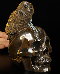 5.4" Matrix Opal Carved Crystal Skull & Owl Sculpture, Crystal Healing
