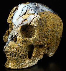 5.0" Sagenitic Agate Carved Crystal Skull,Super Realistic, Crystal Healing