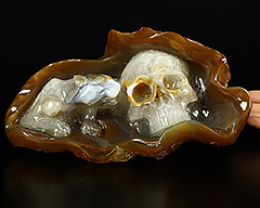 10.1" Agate Carved Crystal Skull & Leopard, Crystal Healing