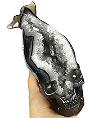 A Fish Skull 8.8" Agate Geode Carved Crystal Skull, Crystal Healing