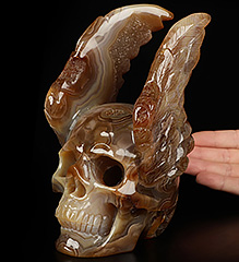 AMAZING 7.2" Agate Geode Carved Crystal Skull & Wing, Crystal Healing