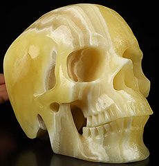 6.9" Zebra Calcite Carved Crystal Skull,Super Realistic, Crystal Healing