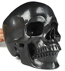 Lifesized 6.9" Shungite Carved Crystal Skull,Super Realistic, Crystal Healing