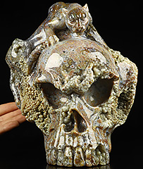8.7" Ocean Jasper Carved Crystal Skull & Leopard, Crystal Healing