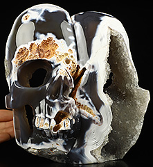 Two Faces 7.0" Orca agate Geode Carved Crystal Skull Sculpture, Crystal Healing