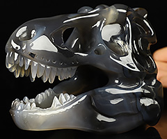 5.4" Premium Brazilian Agate Carved Crystal Tyrannosaurus Rex Skull, Crystal Healing