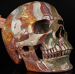 31.4LB Titan 10.8" Indian Agate Carved Crystal Skull,Super Realistic, Crystal Healing