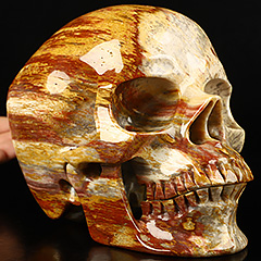 Lifesized 7.0" Petrified Wood Carved Crystal Skull,Super Realistic, Crystal Healing