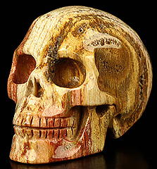2.0" Petrified Wood Carved Crystal skull,Realistic, Crystal Healing