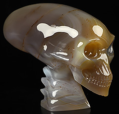 3.7" Premium Brazilian Agate Carved Crystal Elongated Mayan Alien Skull & Spine, Crystal Healing