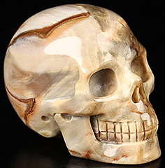 2.0" Petrified Wood Carved Crystal Skull,Realistic, Crystal Healing