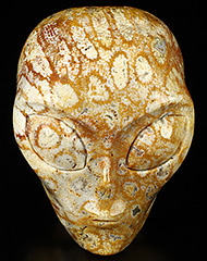 2.0" Coral Fossil Crystal Skull Companion with Labradorite Eyes， Star Being Female Alien, Crystal Healing