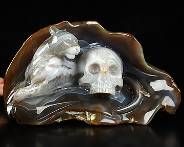 9.3" Gray & White Agate Carved Crystal Skull & Leopard, Crystal Healing