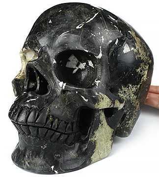 34.8LBTitan 10.9" Black Tourmaline Carved Crystal Skull,Super Realistic, Crystal Healing