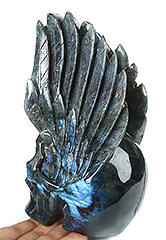 8.3" Labradorite Carved Crystal Skull & Wings, Crystal Healing