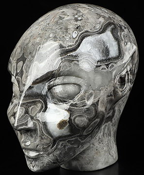 4.1" Crocodile Jasper Carved Fairy Elf Alien Crystal Skull Companion Sculpture, Crystal Healing
