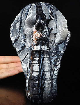 6.3" Black Zebra Agate Carved Crystal Cobra Skull, Crystal Healing